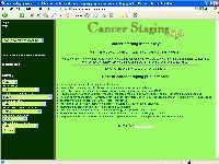 A free and customized online tool to facilitate quick and accurate cancer staging of common cancers.